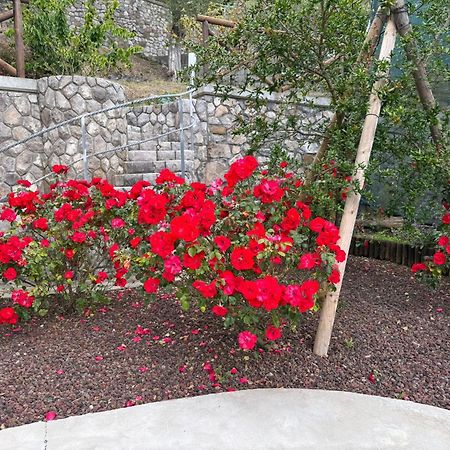"Il Fienile Di Zia Teresa" Villa Massa Lubrense Ngoại thất bức ảnh