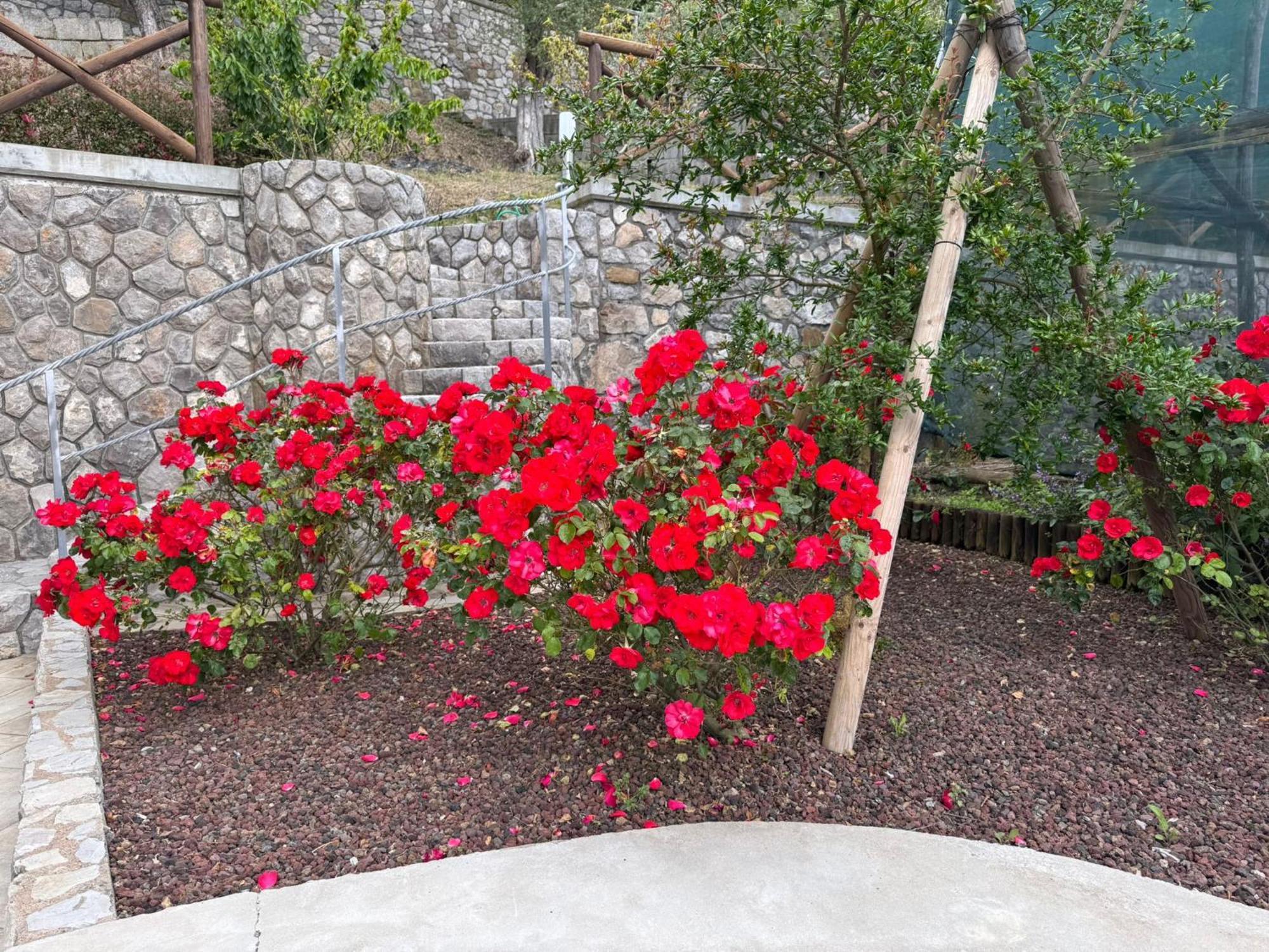 "Il Fienile Di Zia Teresa" Villa Massa Lubrense Ngoại thất bức ảnh